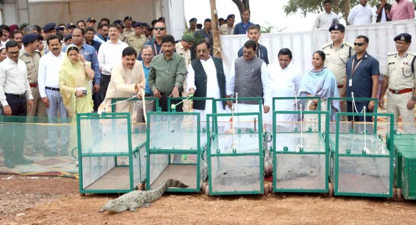 αñ¿αñ░αÑìαñ«αñªαñ╛ αñ«αÑçαñé αñ¢αÑïαñíαñ╝αÑç αñ«αñùαñ░αñ«αñÜαÑìαñ¢ : αñ╕αÑÇαñÅαñ« αñíαÑë. αñ«αÑïαñ╣αñ¿ αñ»αñ╛αñªαñ╡ αñ¼αÑïαñ▓αÑç- ΓÇÿαñ«αñ╛αñé αñ¿αñ░αÑìαñ«αñªαñ╛ αñòαÑç αñ╡αñ╛αñ╣αñ¿ αñòαÑï αñëαñ╕αñòαÑç αñÿαñ░ αñ«αÑçαñé αñ¼αñ╕αñ╛αñ¿αÑç αñòαñ╛ αñ╕αñéαñòαñ▓αÑìαñ¬ αñ¬αÑéαñ░αñ╛ αñòαñ┐αñ»αñ╛ΓÇÖ