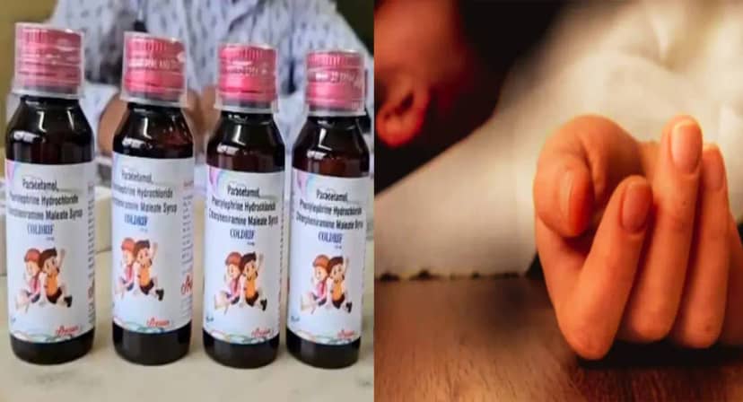 αñªαñ┐αñ▓αÑìαñ▓αÑÇ αñ«αÑçαñé αñ¡αÑÇ αñòαÑïαñ▓αÑìαñíαÑìαñ░αñ┐αñ½ αñòαñ½ αñ╕αñ┐αñ░αñ¬ αñ¬αñ░ αñ▓αñùαñ╛ αñ¼αÑêαñ¿, αñ╕αñ░αñòαñ╛αñ░ αñ¿αÑç αñ£αñ╛αñ░αÑÇ αñòαñ┐αñ»αñ╛ αñåαñªαÑçαñ╢, αñÅαñ«αñ¬αÑÇ αñ«αÑçαñé αñ╣αÑüαñê αñ¼αñÜαÑìαñÜαÑïαñé αñòαÑÇ αñ«αÑîαññ αñòαÑç αñ¼αñ╛αñª αñ▓αñ┐αñ»αñ╛ αñ½αÑêαñ╕αñ▓αñ╛