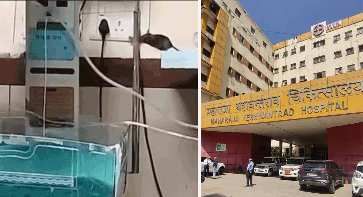 αñçαñéαñªαÑîαñ░ αñòαÑç MYH αñ«αÑçαñé αñªαÑéαñ╕αñ░αÑç αñ¿αñ╡αñ£αñ╛αññ αñòαÑÇ αñ¡αÑÇ αñ«αÑîαññ, NICU αñ«αÑçαñé αñÜαÑéαñ╣αÑç αñ¿αÑç αñòαÑüαññαñ░αñ╛ αñÑαñ╛, αñªαÑï αñªαñ┐αñ¿ αñ«αÑçαñé αñªαÑï αñ¼αñÜαÑìαñÜαÑïαñé αñòαÑÇ αñùαñê αñ£αñ╛αñ¿, αñ£αñ╛αñéαñÜ αñòαÑç αñ▓αñ┐αñÅ αñ¼αñ¿αÑÇ αñ╣αñ╛αñêαñ▓αÑçαñ╡αñ▓ αñòαñ«αÑçαñƒαÑÇ