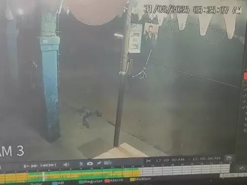 αñ╕αÑéαñ░αñ£αñ¬αÑüαñ░ αñ«αÑçαñé αñ«αÑéαñéαñùαñ½αñ▓αÑÇ αñ╡αñ┐αñ╡αñ╛αñª αñ¿αÑç αñ▓αÑÇ αñªαÑï αñ£αñ┐αñéαñªαñùαñ┐αñ»αñ╛αñé, αñ¼αÑïαñ▓αÑçαñ░αÑï αñ╕αÑç αñ¬αñ┐αññαñ╛-αñ¬αÑüαññαÑìαñ░ αñòαÑï αñòαÑüαñÜαñ▓αñòαñ░ αñ╣αññαÑìαñ»αñ╛, αñÅαñò αñ¼αÑçαñƒαñ╛ αñÿαñ╛αñ»αñ▓