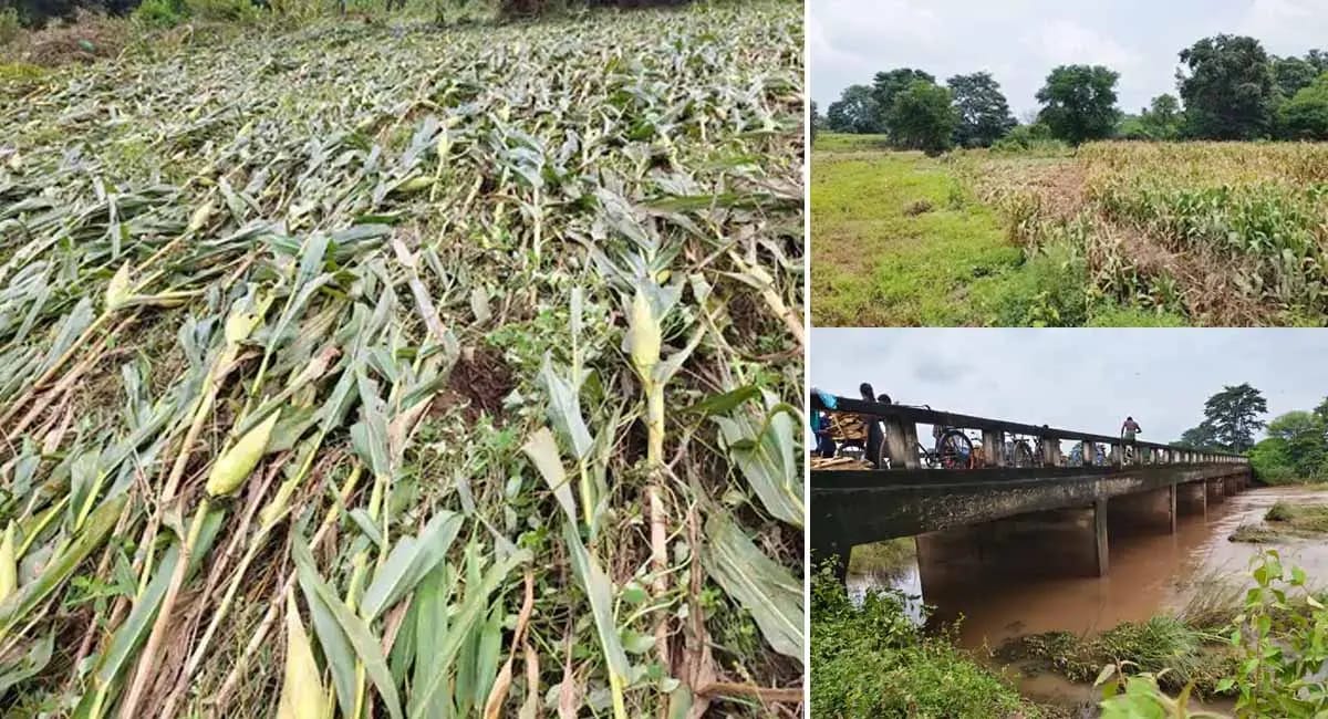αñùαñ░αñ┐αñ»αñ╛αñ¼αñéαñª αñ«αÑçαñé αñ¼αñ╛αñóαñ╝ αñòαñ╛ αñòαñ╣αñ░... 40 αñ▓αñ╛αñû αñòαÑÇ αñ½αñ╕αñ▓αÑçαñé αññαñ¼αñ╛αñ╣, αñòαñ┐αñ╕αñ╛αñ¿αÑïαñé αñòαÑï αñòαñ░αÑìαñ£ αñòαÑÇ αñÜαñ┐αñéαññαñ╛, αñ╕αñ░αñòαñ╛αñ░ αñ╕αÑç αñ«αÑüαñåαñ╡αñ£αÑç αñòαÑÇ αñ«αñ╛αñéαñù