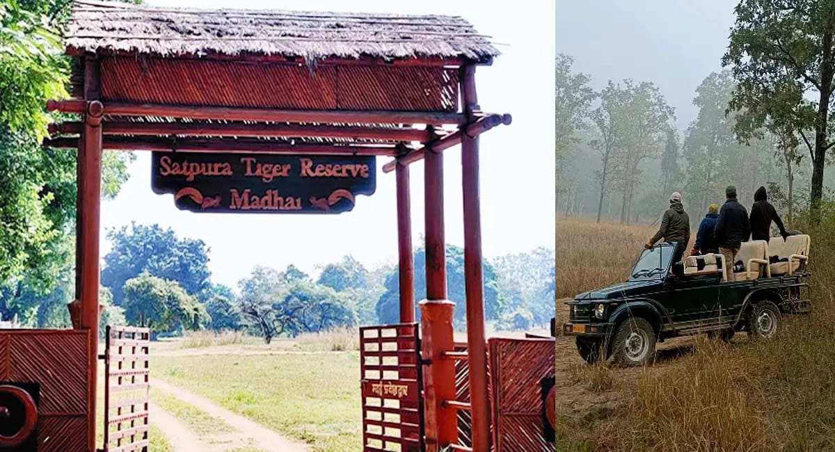 αñ¬αñ░αÑìαñ»αñƒαñòαÑïαñé αñòαÑï αñòαñ░αñ¿αñ╛ αñ╣αÑïαñùαñ╛ αñçαñéαññαñ£αñ╛αñ░... αñ¼αñ╛αñ░αñ┐αñ╢ αñ╕αÑç αñ¼αñ┐αñùαñíαñ╝αÑç αñ░αñ╛αñ╕αÑìαññαÑç, αñàαñ¼ 11 αñàαñòαÑìαñƒαÑéαñ¼αñ░ αñ╕αÑç αñûαÑüαñ▓αÑçαñéαñùαÑç αñ╕αññαñ¬αÑüαñíαñ╝αñ╛ αñƒαñ╛αñçαñùαñ░ αñ░αñ┐αñ£αñ░αÑìαñ╡ αñòαÑç αñùαÑçαñƒ