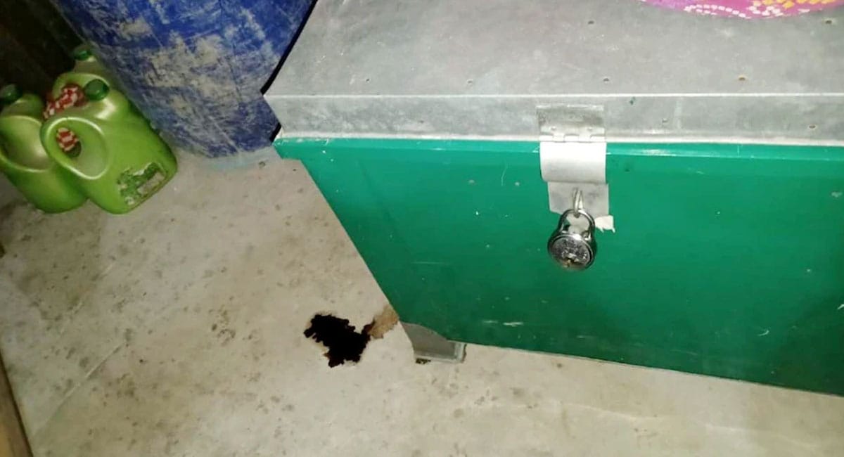 αñ«αÑêαñ╣αñ░ αñ«αÑçαñé αñ¼αñòαÑìαñ╕αÑç αñ╕αÑç αñ«αñ┐αñ▓αñ╛ αñ«αñ╣αñ┐αñ▓αñ╛ αñòαñ╛ αñ╢αñ╡, αñçαñ▓αñ╛αñòαÑç αñ«αÑçαñé αñ½αÑêαñ▓αÑÇ αñ╕αñ¿αñ╕αñ¿αÑÇ