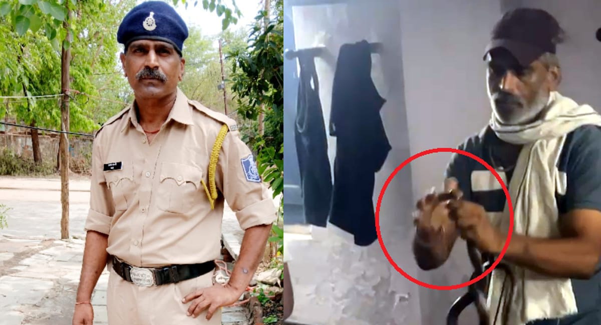 αñ╕αñ╛αñéαñ¬ αñòαÑï αñ¬αñòαñíαñ╝αñ¿αÑç αñåαñ░αñòαÑìαñ╖αñò αñòαÑÇ αñ«αÑîαññ:-αñ¬αñ░αñ┐αñ╡αñ╛αñ░ αñ╣αÑüαñå  αñ¼αÑçαñ╕αñ╣αñ╛αñ░αñ╛