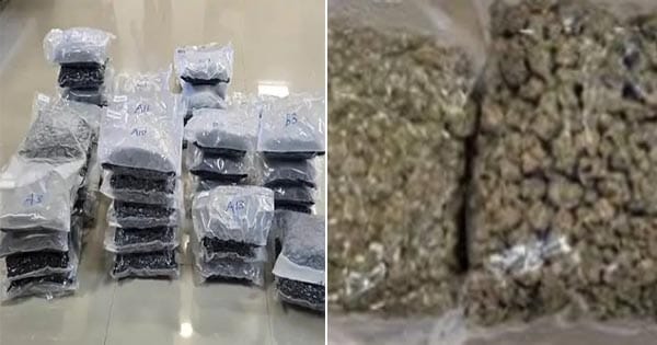 भोपाल से पकड़ाई 24 करोड़ की विदेशी ड्रग्स, 5 अरोपी गिरफ्तार, सोशल मीडिया के जरिए करते थे सप्लाई